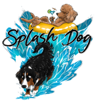 splash dog toiletteur digne les bains coupe logo favicon